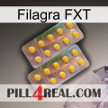 Filagra FXT new10